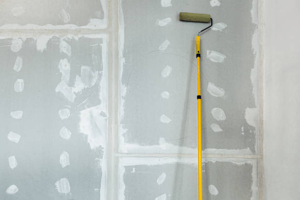 Best Drywall Sanding and Smoothing  in Westerville, OH